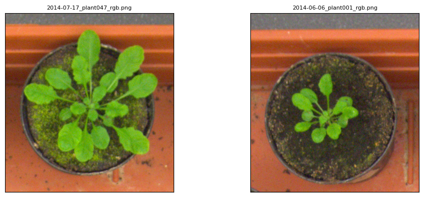 ../_images/Worked-examples_plant_pipeline_6_0.png